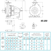 ابعاد و اندازه الکترو پمپ پمپیران مدل 250-65 با الکتروموتور 50 اسب 2900 دور