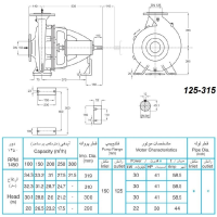 ابعاد و اندازه الکترو پمپ پمپیران مدل 315-125 با الکتروموتور 41 اسب 1450 دور