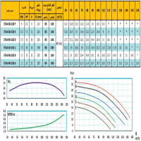 منحنی پمپ آب رایان مدل ETA4 80-250 C